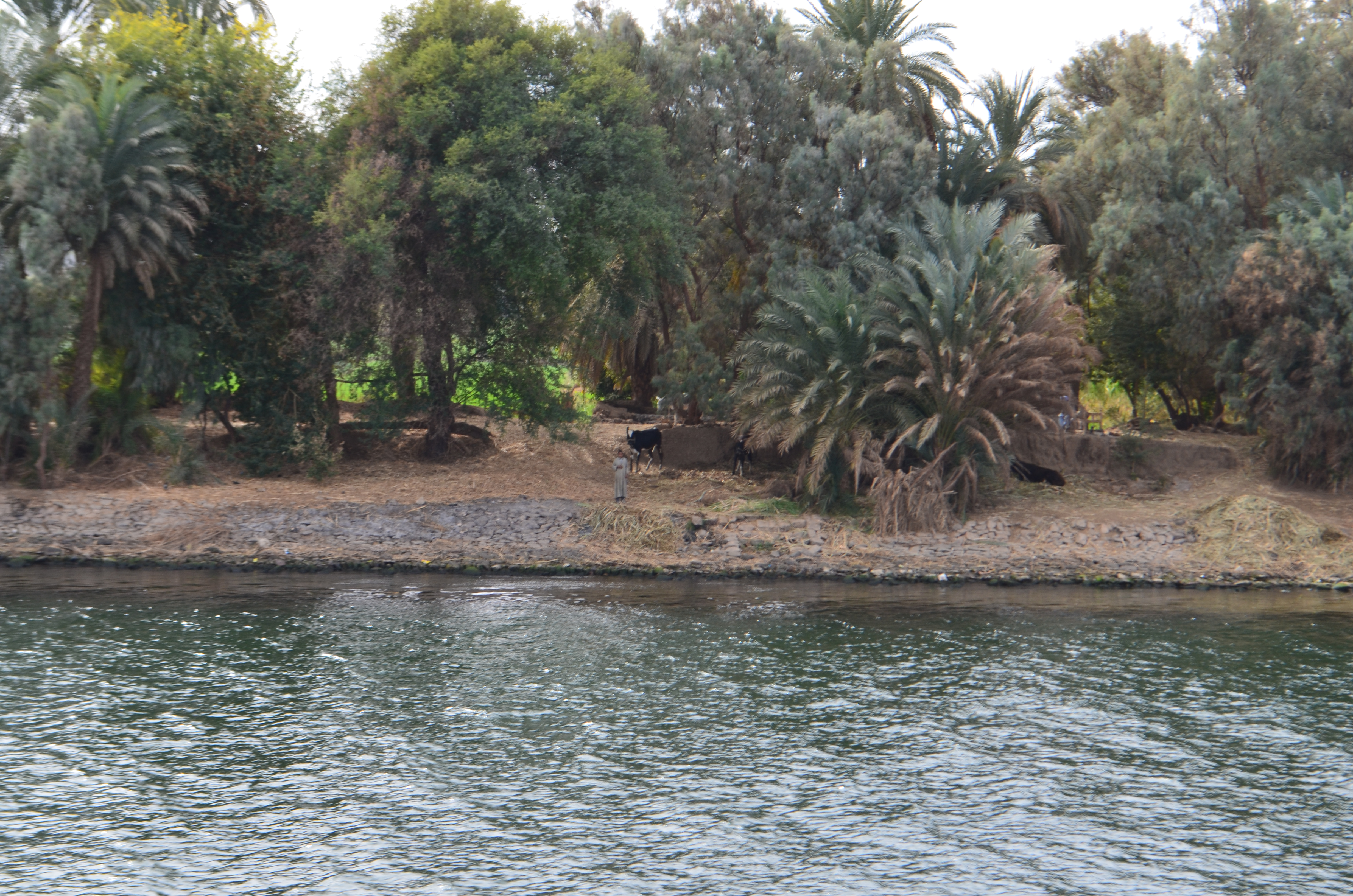 ./2018/16 - Egypt/11 - Edfu/DSC_0989.JPG